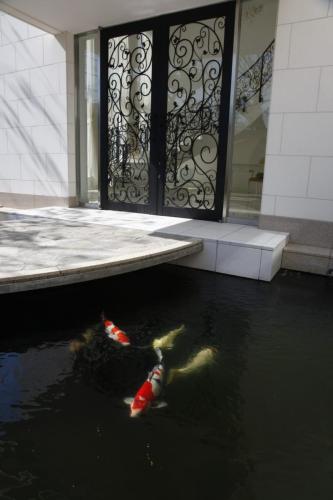 Coordination_MG_0661-1024x1536