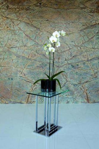 Steel-line-1024x1536