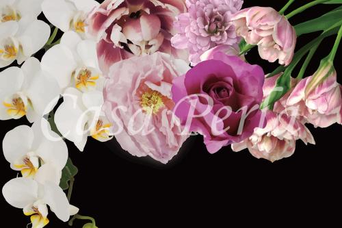 f-a_002 ブラック1