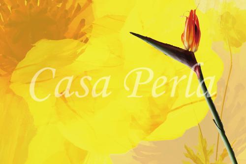 f-a_004 イエロー