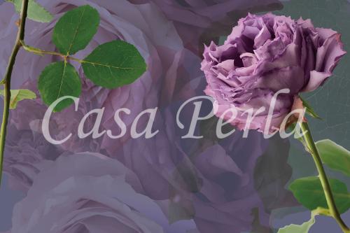 f-a_005 パープル