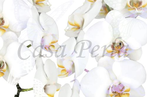 f-a_009 ホワイト