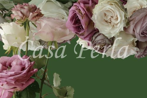 f-a_010 グリーン