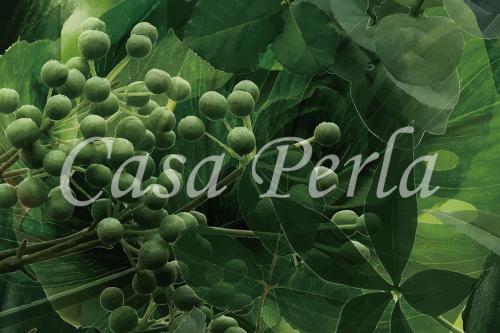 f-a_014 グリーン2