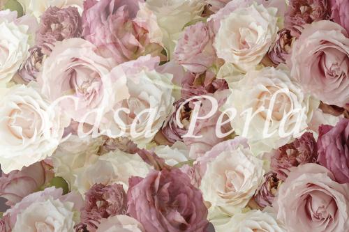 f-a_017 バラ全面