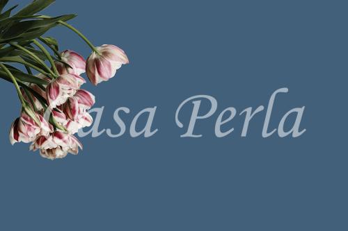 f-a_018 チューリップ