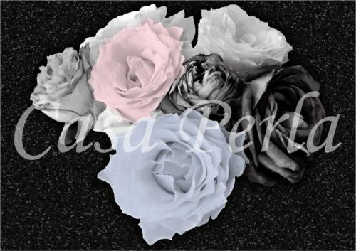 f-b_001 ブラック