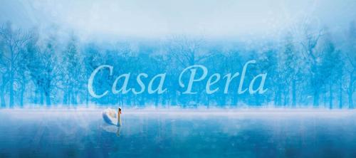 na_016 冬の白鳥2